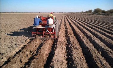VENTA DE FINCA DE 79 HAS – SAN MARTN, MZA.