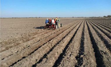VENTA DE FINCA DE 79 HAS – SAN MARTN, MZA.