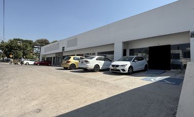 Altísimo flujo vehicular