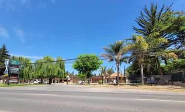 Local comercial en arriendo en BUIN