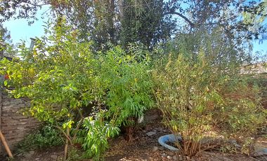 Venta Casa 3D/1B - San Joaquín