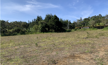 Venta de Lote Comercial en Rionegro Sector Barro Blanco