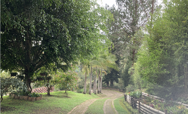 Venta de Hermosa Casa Finca Independiente en Rionegro
