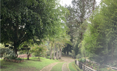 Venta de Hermosa Casa Finca Independiente en Rionegro