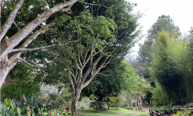 Venta de Hermosa Casa Finca Independiente en Rionegro
