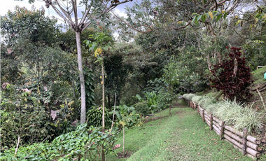 Venta de Hermosa Casa Finca Independiente en Rionegro