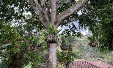 Venta de Hermosa Casa Finca Independiente en Rionegro
