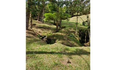 Venta de Lote en Guarne Vía Aeropuerto Med Bog