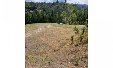 Venta de Lote en Guarne Vía Aeropuerto Med Bog