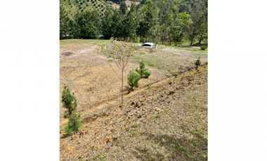 Venta de Lote en Guarne Vía Aeropuerto Med Bog