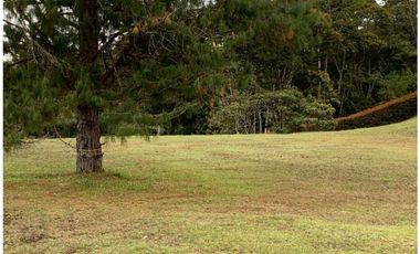 Venta de Lote en la Vía San Antonio la Ceja, Ubicación y Aprovechable