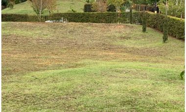 Venta de Lote en la Vía San Antonio la Ceja, Ubicación y Aprovechable