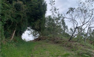 Venta de Hermoso Lote en El Retiro en Reserva Natural Unidad Cerrada