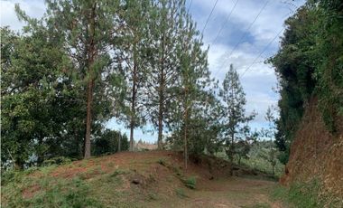 Venta de Hermoso Lote en El Retiro en Reserva Natural Unidad Cerrada