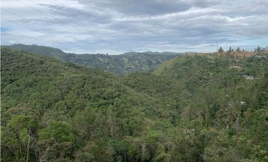 Venta de Hermoso Lote en El Retiro en Reserva Natural Unidad Cerrada