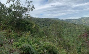 Venta de Hermoso Lote en El Retiro en Reserva Natural Unidad Cerrada