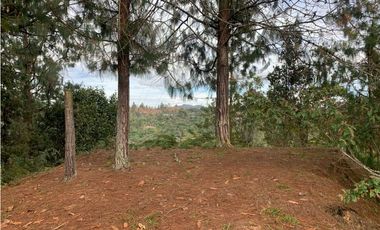 Venta de Hermoso Lote en El Retiro en Reserva Natural Unidad Cerrada