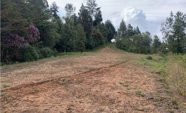 Venta de Hermoso Lote en El Retiro en Reserva Natural Unidad Cerrada