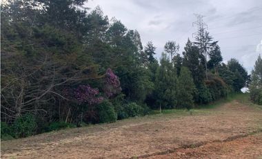 Venta de Hermoso Lote en El Retiro en Reserva Natural Unidad Cerrada