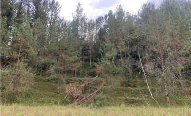 Venta de Hermoso Lote en El Retiro en Reserva Natural Unidad Cerrada