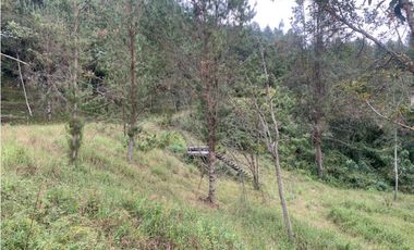 Venta de Hermoso Lote en El Retiro en Reserva Natural Unidad Cerrada