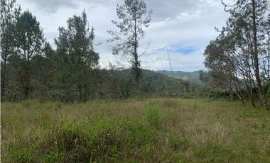 Venta de Hermoso Lote en El Retiro en Reserva Natural Unidad Cerrada