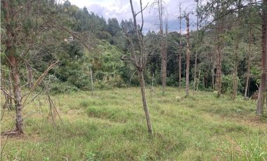 Venta de Hermoso Lote en El Retiro en Reserva Natural Unidad Cerrada