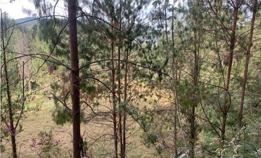 Venta de Hermoso Lote en El Retiro en Reserva Natural Unidad Cerrada