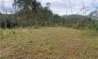 Venta de Hermoso Lote en El Retiro en Reserva Natural Unidad Cerrada