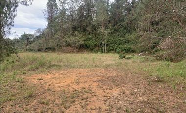 Venta de Hermoso Lote en El Retiro en Reserva Natural Unidad Cerrada