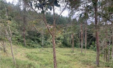 Venta de Hermoso Lote en El Retiro en Reserva Natural Unidad Cerrada