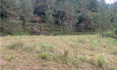 Venta de Hermoso Lote en El Retiro en Reserva Natural Unidad Cerrada