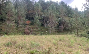 Venta de Hermoso Lote en El Retiro en Reserva Natural Unidad Cerrada