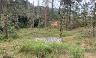 Venta de Hermoso Lote en El Retiro en Reserva Natural Unidad Cerrada