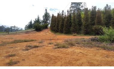 Venta de Lote Independiente en La Ceja, Sector el Capiro