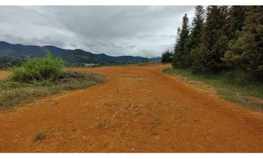 Venta de Lote Independiente en La Ceja, Sector el Capiro
