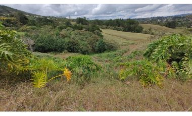 Venta de Lote Independiente en La Ceja, Sector el Capiro