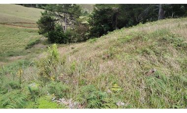 Venta de Lote Independiente en La Ceja, Sector el Capiro