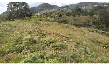 Venta de Lote Independiente en La Ceja, Sector el Capiro
