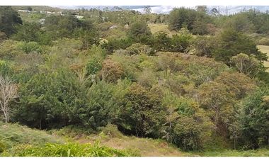 Venta de Lote Independiente en La Ceja, Sector el Capiro