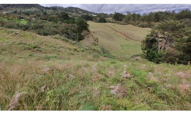 Venta de Lote Independiente en La Ceja, Sector el Capiro