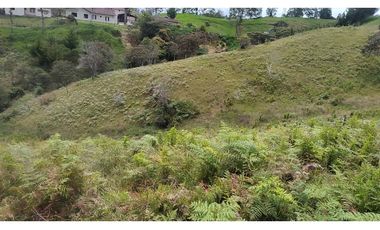 Venta de Lote Independiente en La Ceja, Sector el Capiro