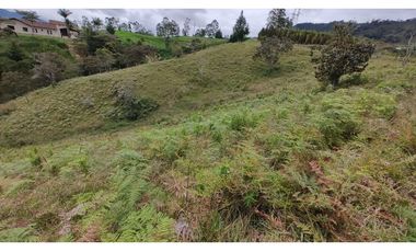 Venta de Lote Independiente en La Ceja, Sector el Capiro