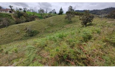 Venta de Lote Independiente en La Ceja, Sector el Capiro