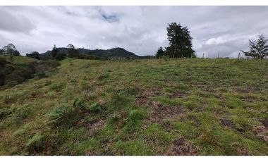 Venta de Lote Independiente en La Ceja, Sector el Capiro