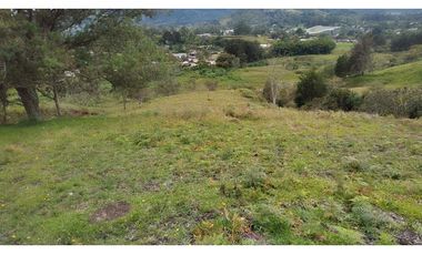 Venta de Lote Independiente en La Ceja, Sector el Capiro