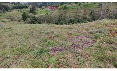 Venta de Lote Independiente en La Ceja, Sector el Capiro