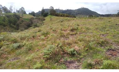 Venta de Lote Independiente en La Ceja, Sector el Capiro