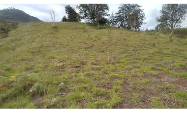 Venta de Lote Independiente en La Ceja, Sector el Capiro