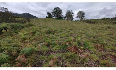 Venta de Lote Independiente en La Ceja, Sector el Capiro